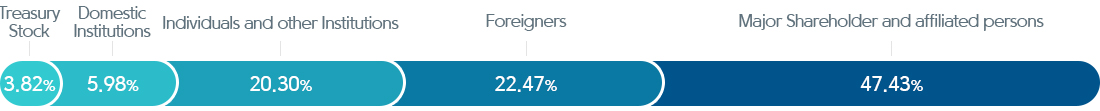 Major Shareholder and affiliated persons 47.30%, Foreigners 22.30%, Individuals and other Institutions 20.19%, Domestic Institutions 6.39%, Treasury Stock 3.82%
